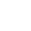 icons8-house-100 (1)